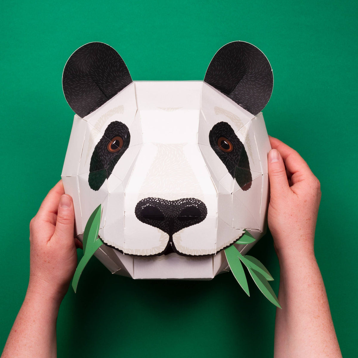 Create Your Own Giant Panda Head – Natural Resources: Pregnancy +