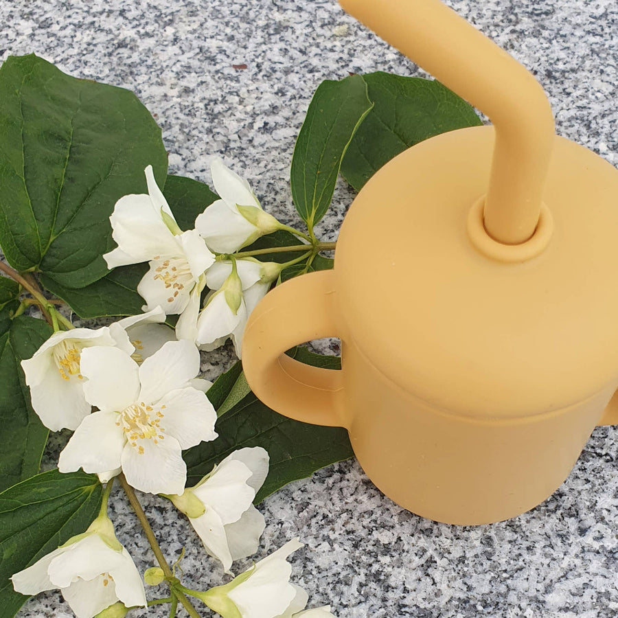 Yellow cup with straw next to white flowers and green leaves on a gray surface