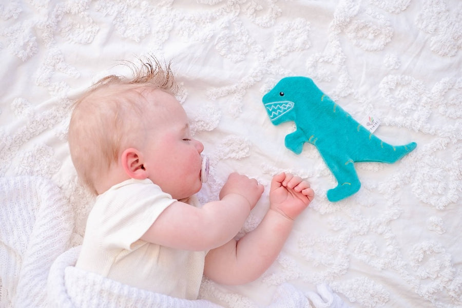 Organic Crinkle Toy - T-Rex