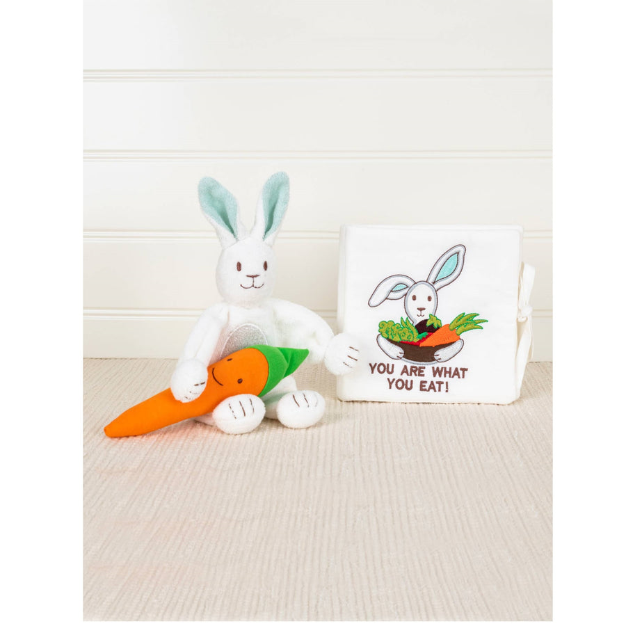 Organic Cotton Rabbit Lovey Baby Toy