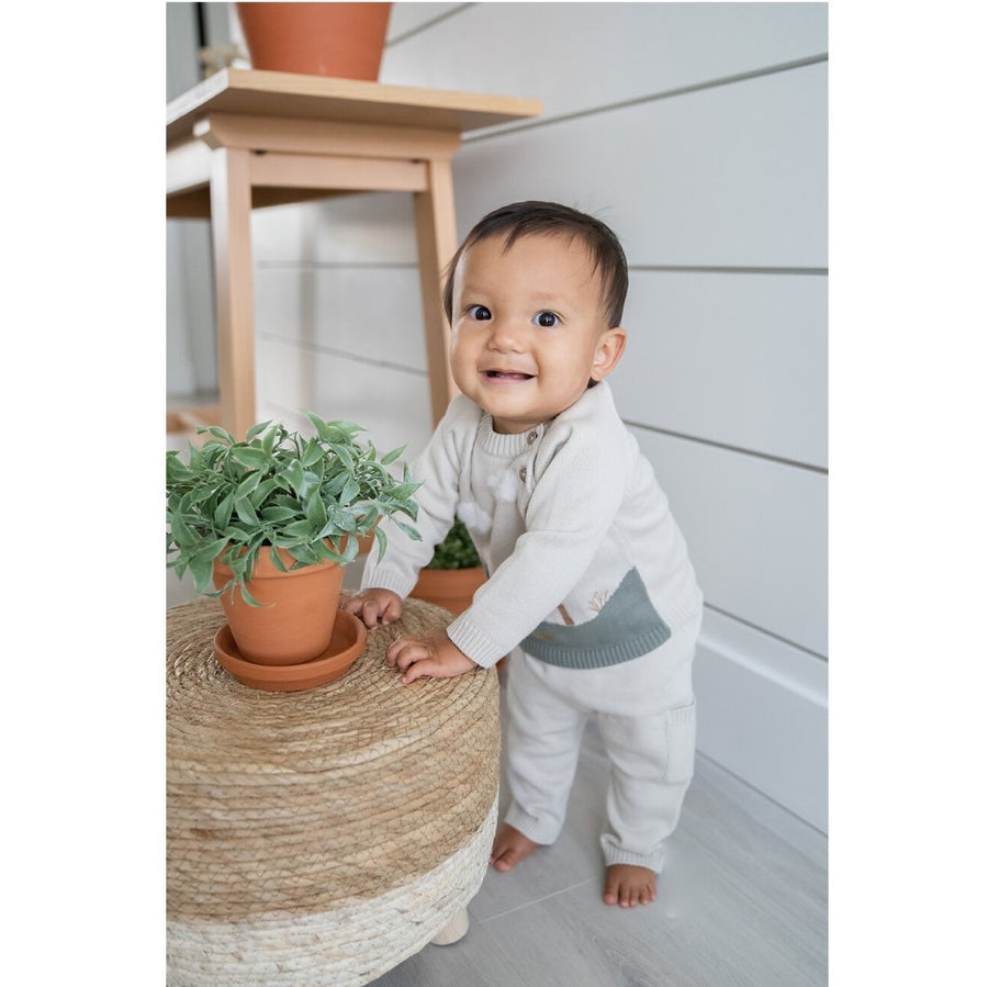 Organic Cotton Knit Baby Pullover Sweater - Dino Applique