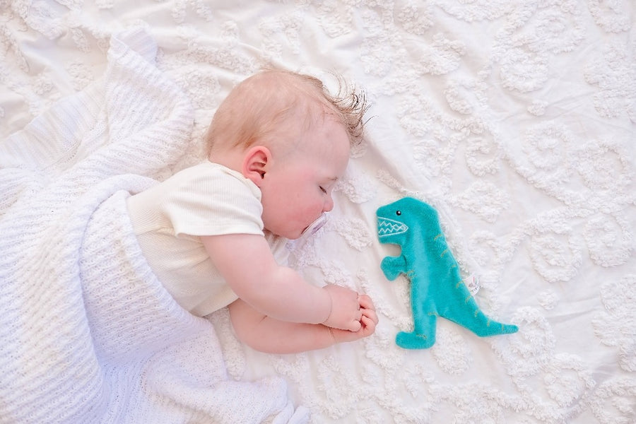 Organic Crinkle Toy - T-Rex