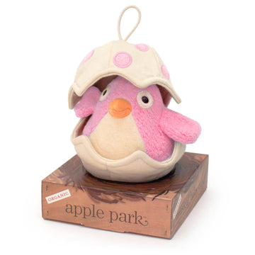 Musical Baby Bird Pull Toy