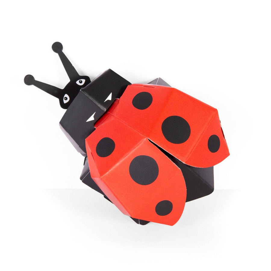 Image shows the assembled ladybug against a white background
