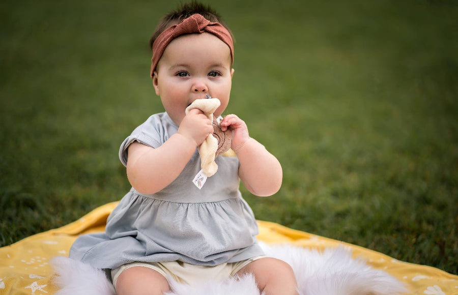 Organic Crinkle Toy - Snail