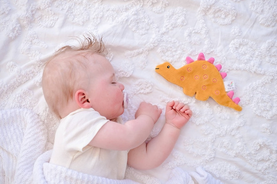 Organic Crinkle Toy - Stego