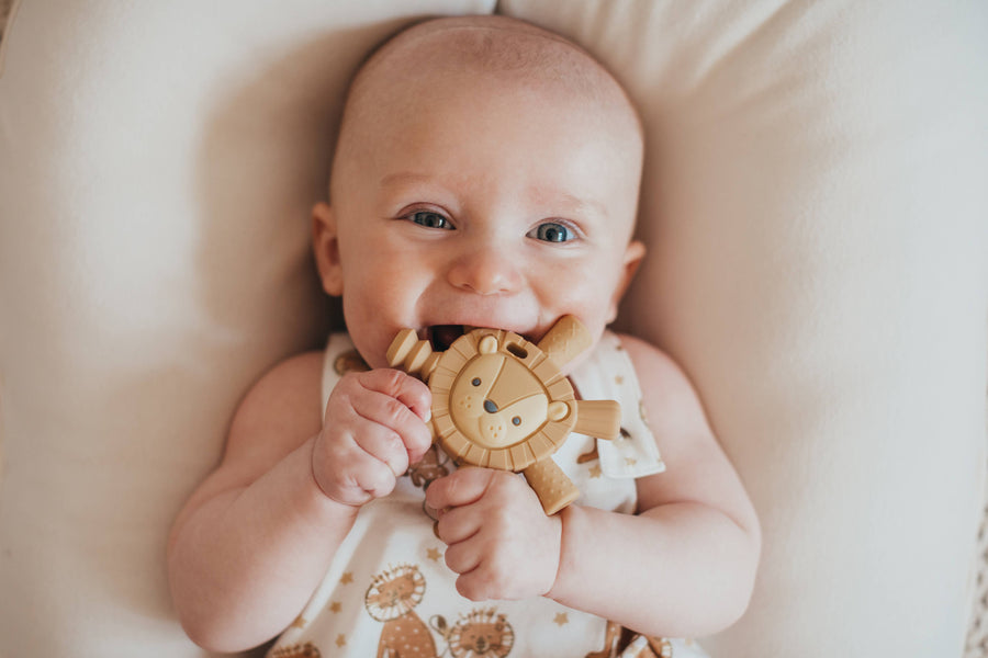 Ritzy Teether™ Molar Teether - Lion