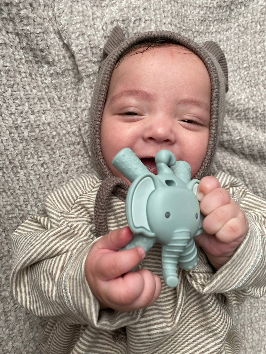 Ritzy Teether™ Molar Teether - Lion