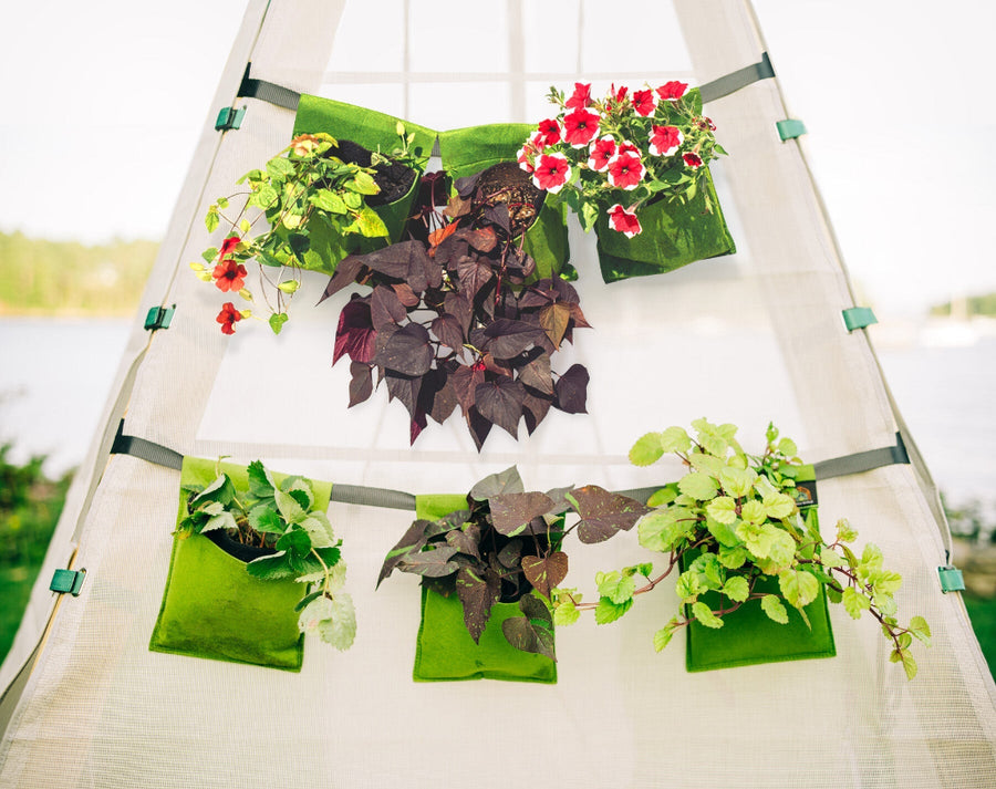 Hanging plants on a white tent with a blurred natural background