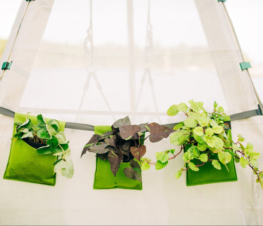 Green plant pots hanging on a white curtain