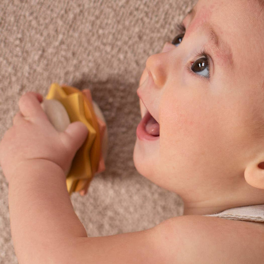 Wooden Spinner Baby Toy Here Comes the Sun