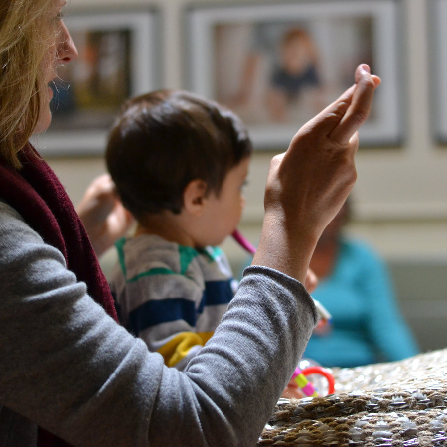 Baby Sign Language Series: In Person