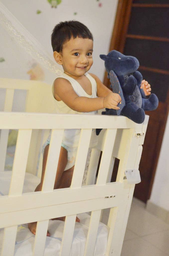 Midnight Dragon Soft Organic Plush Toy