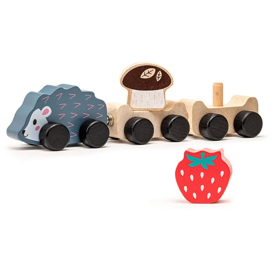 Magnetic Clever Hedgehog Toy
