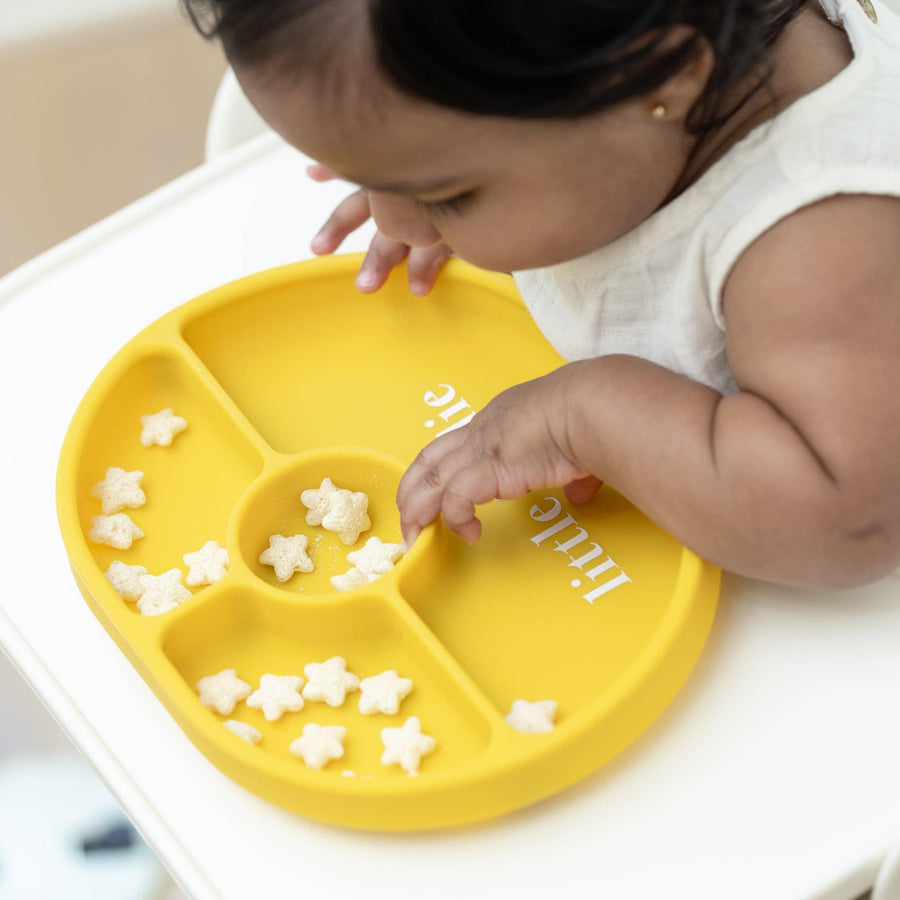 Wonder Plate - Little Foodie