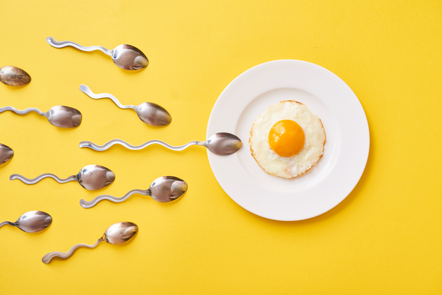 Optimizing Fertility Naturally