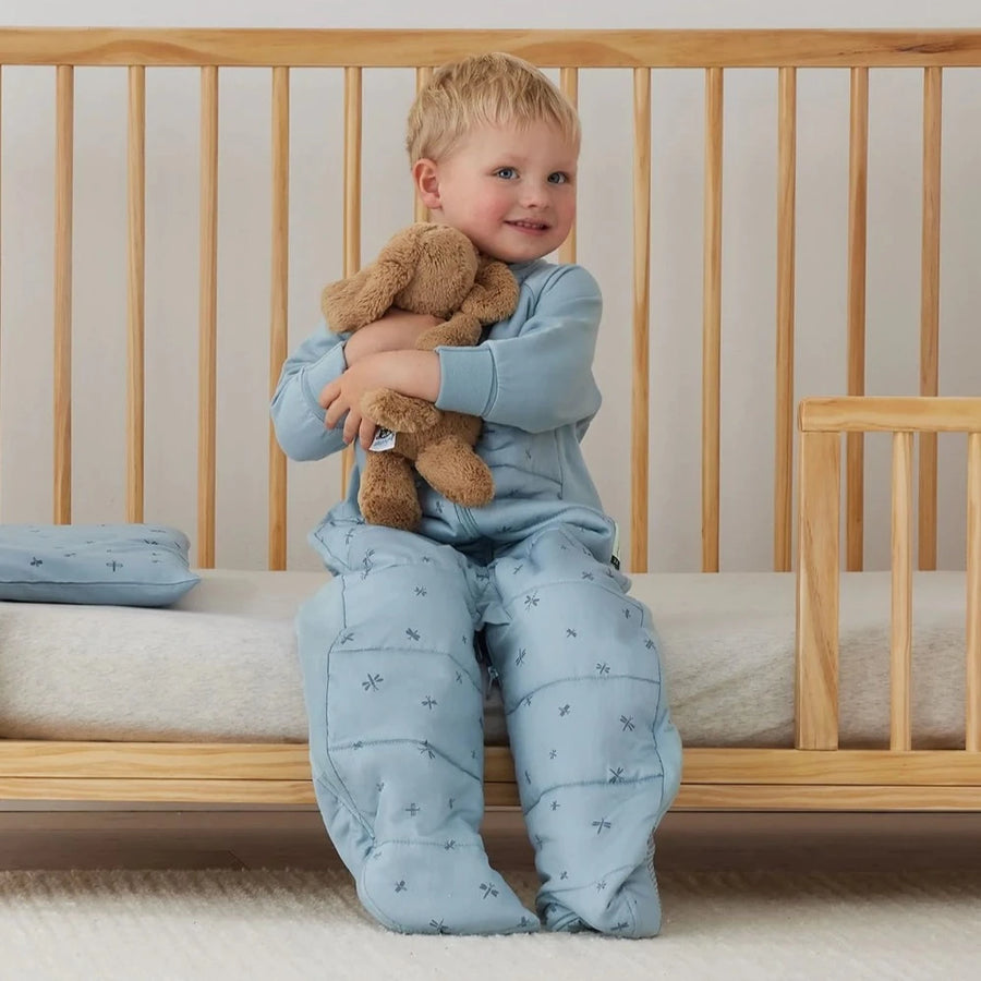 Organic Toddler Pillow + Case - Dragonflies