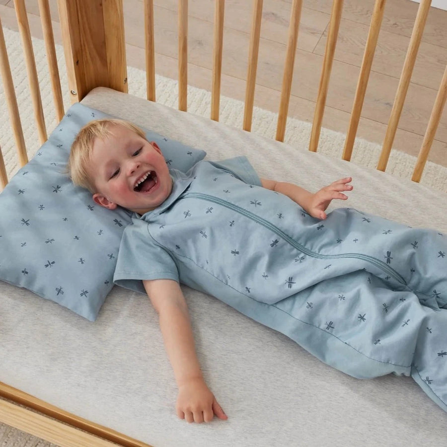 Organic Toddler Pillow + Case - Dragonflies