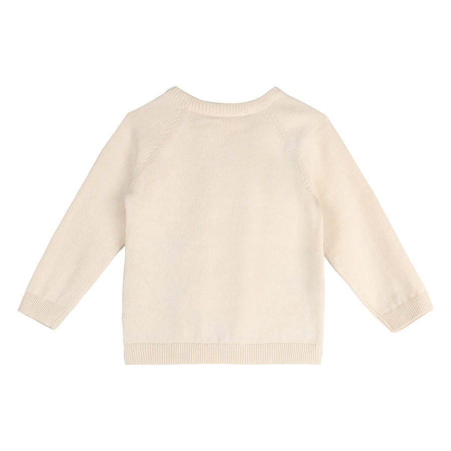 Surfs Up Organic Jacquard Knit Baby Pullover