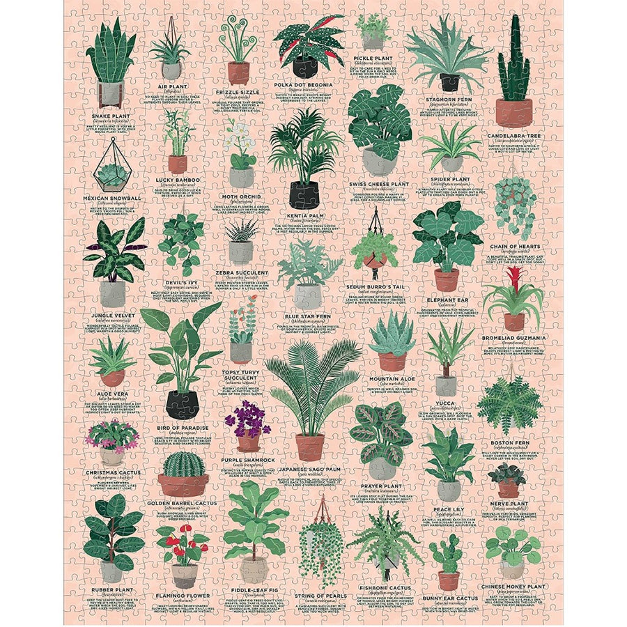 1000 Piece Ridley's Jigsaw Puzzle - House Plants