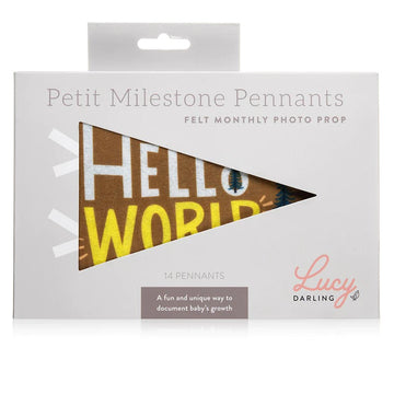 Petit Milestone Pennants - Little Camper