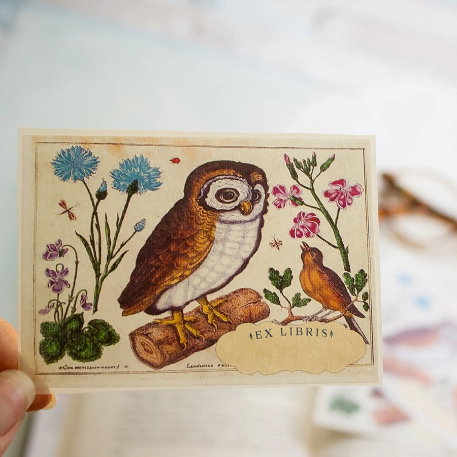 Owl + Singing Bird Bookplates Set of 10