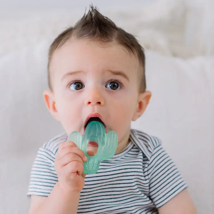 Cutie Coolers Water-Filled Teethers - Cactus