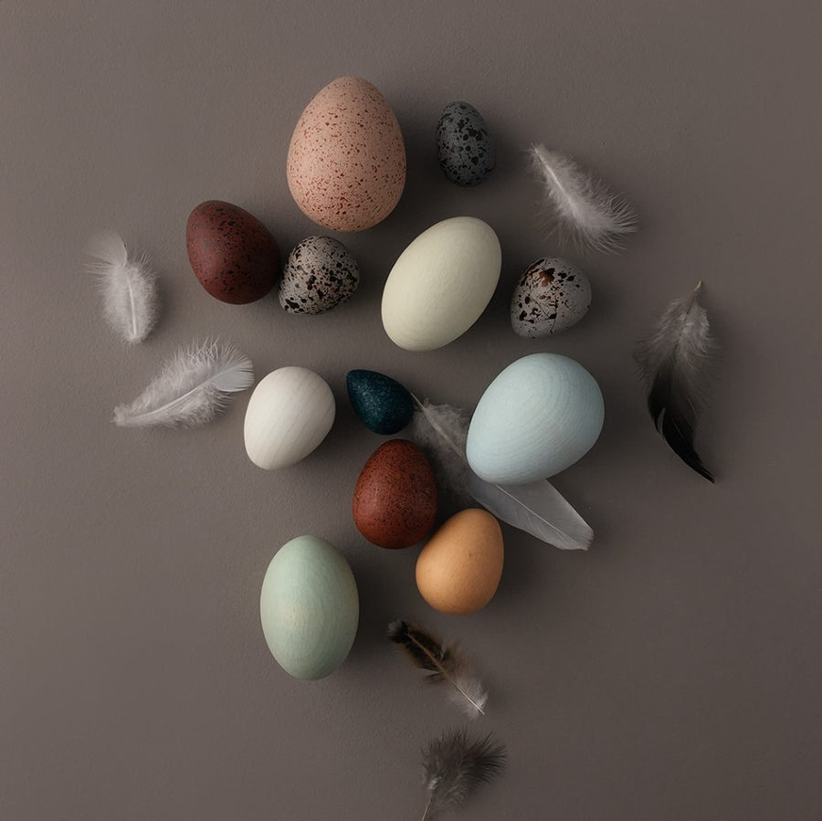 A Dozen Bird Eggs in a Box