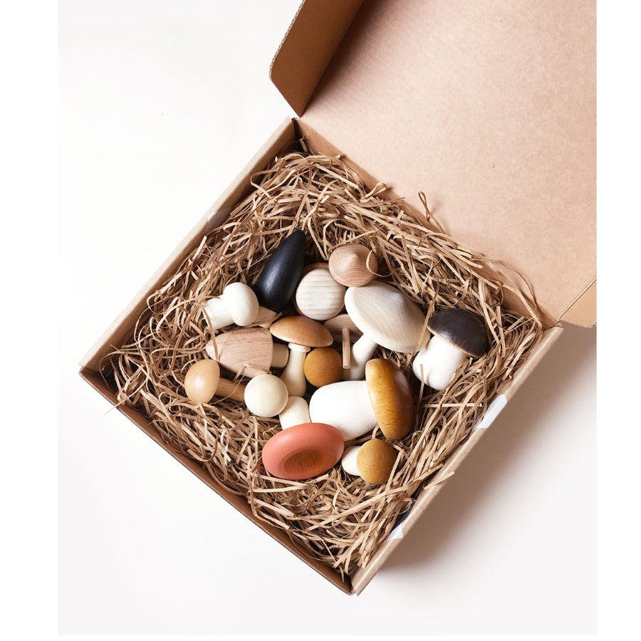 Forest Mushrooms in a Box