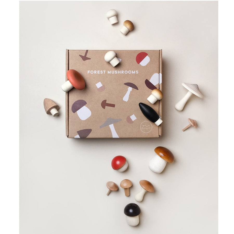 Forest Mushrooms in a Box
