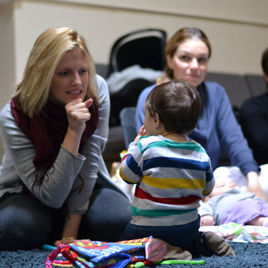 Baby Sign Language Intro Class: Virtual