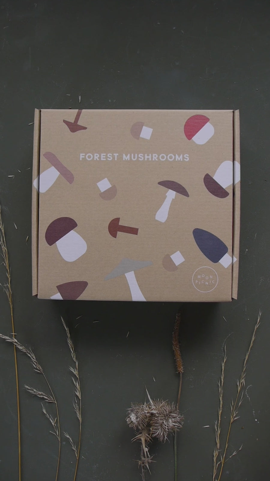 Forest Mushrooms in a Box