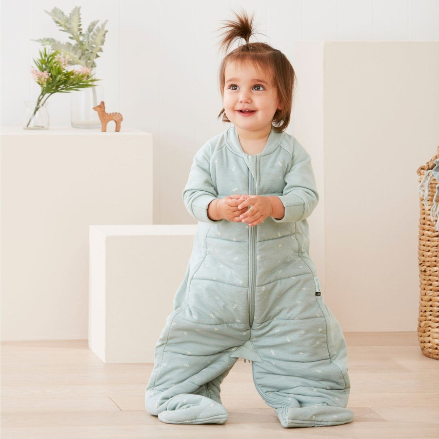 ErgoPouch Convertible Sleep Suit/Bag 2.5 TOG