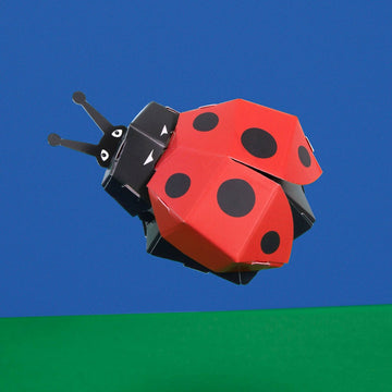 Image shows the assembled ladybug against a blue and green background suggestive of sky and grass
