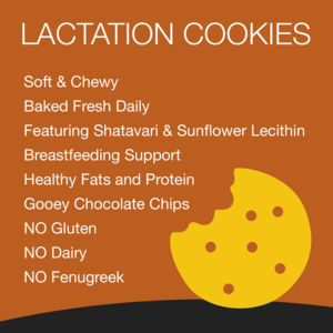 Lactation Cookies