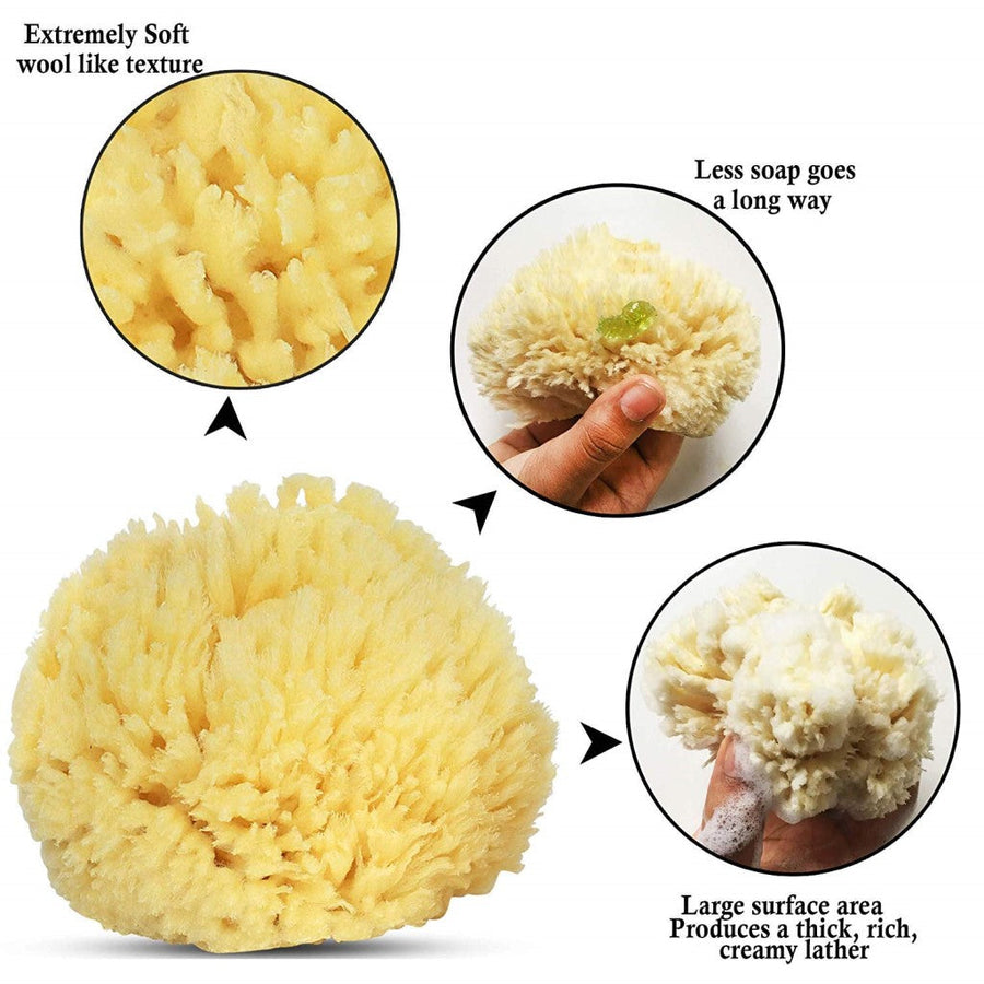 Sponge 1139 | Natural Sea Sponge Large