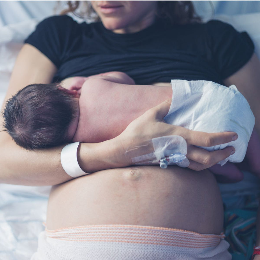 Postpartum Doula Core Training: Hybrid